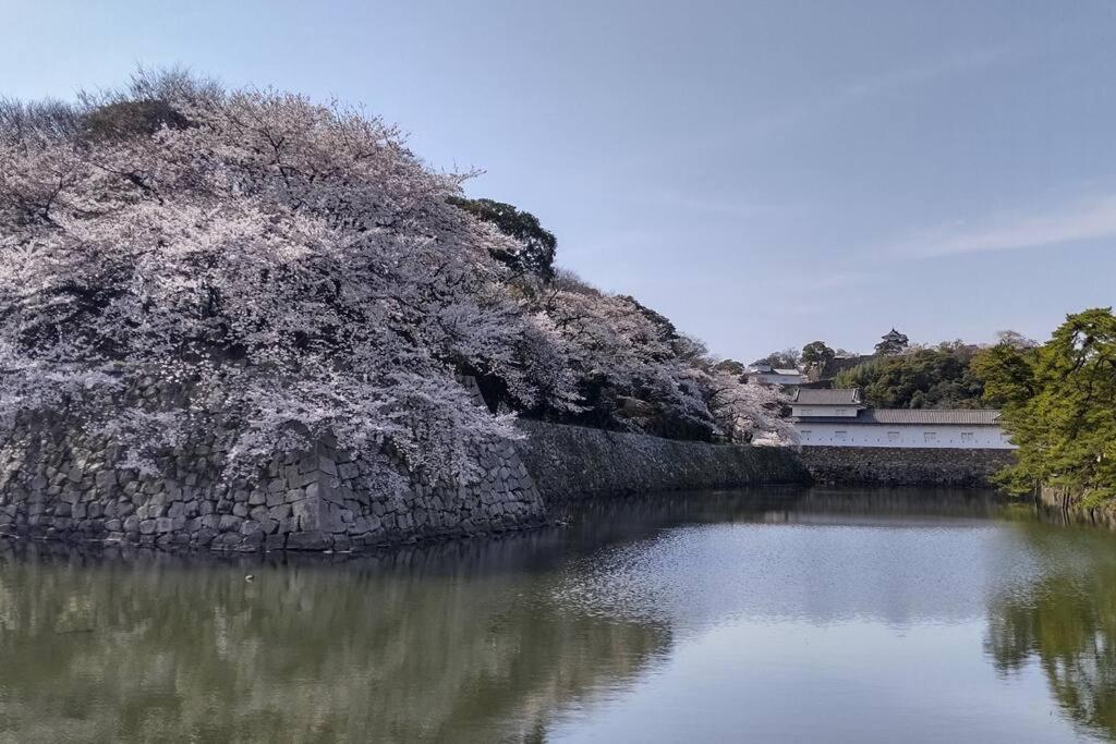 Villa Hikone Castle Bagian luar foto